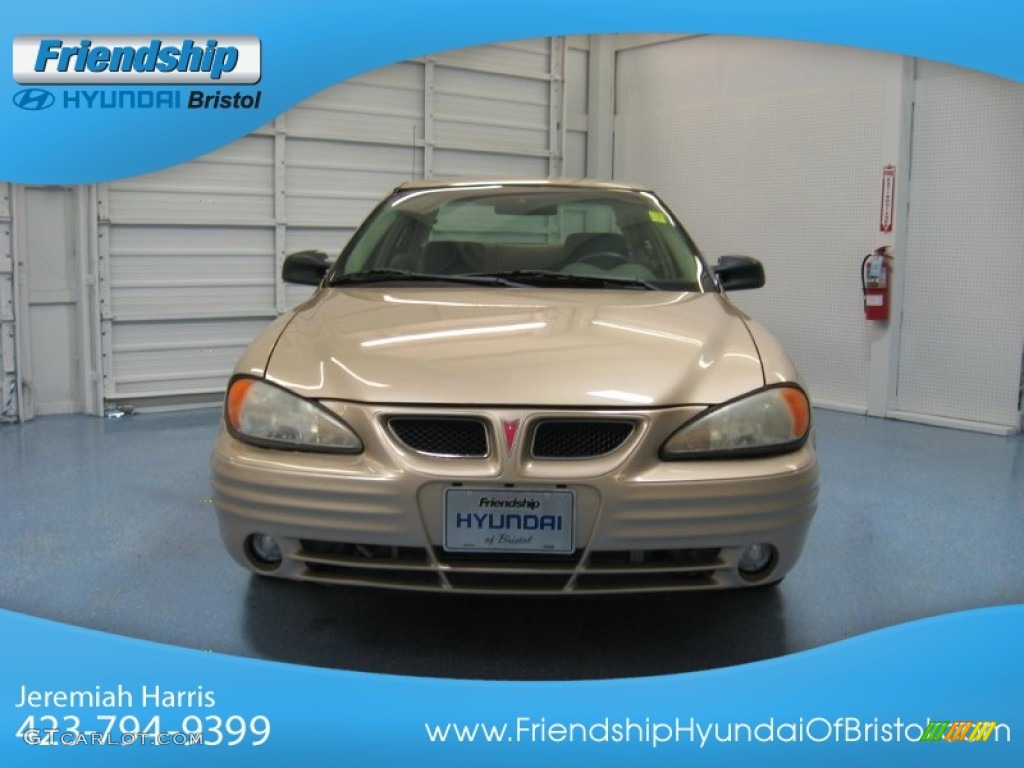 2001 Grand Am SE Sedan - Champagne Beige Metallic / Dark Taupe photo #3