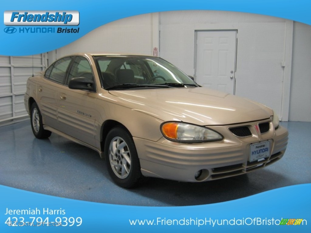 2001 Grand Am SE Sedan - Champagne Beige Metallic / Dark Taupe photo #4