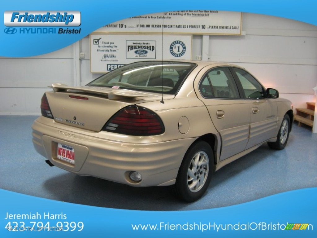 2001 Grand Am SE Sedan - Champagne Beige Metallic / Dark Taupe photo #5