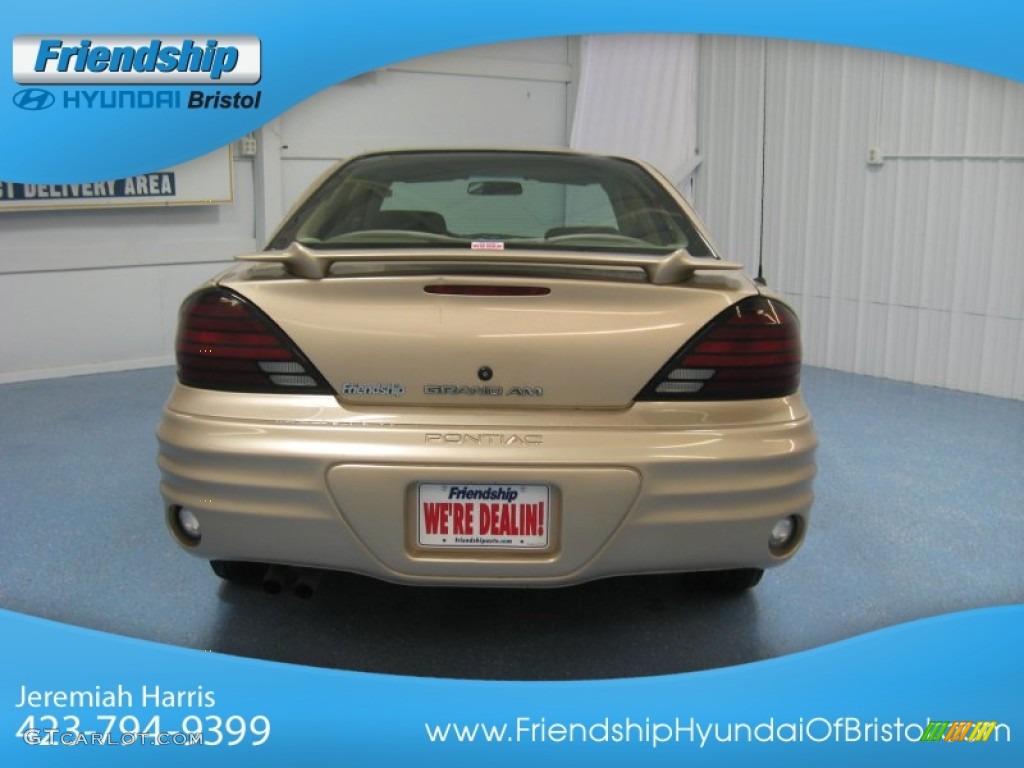 2001 Grand Am SE Sedan - Champagne Beige Metallic / Dark Taupe photo #6