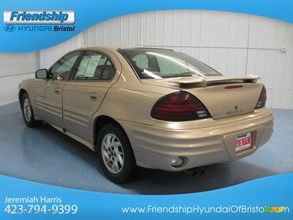2001 Grand Am SE Sedan - Champagne Beige Metallic / Dark Taupe photo #7