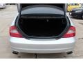 Iridium Silver Metallic - CLS 550 Photo No. 20