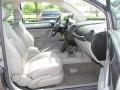 Platinum Grey Metallic - New Beetle GLS 1.8T Coupe Photo No. 10