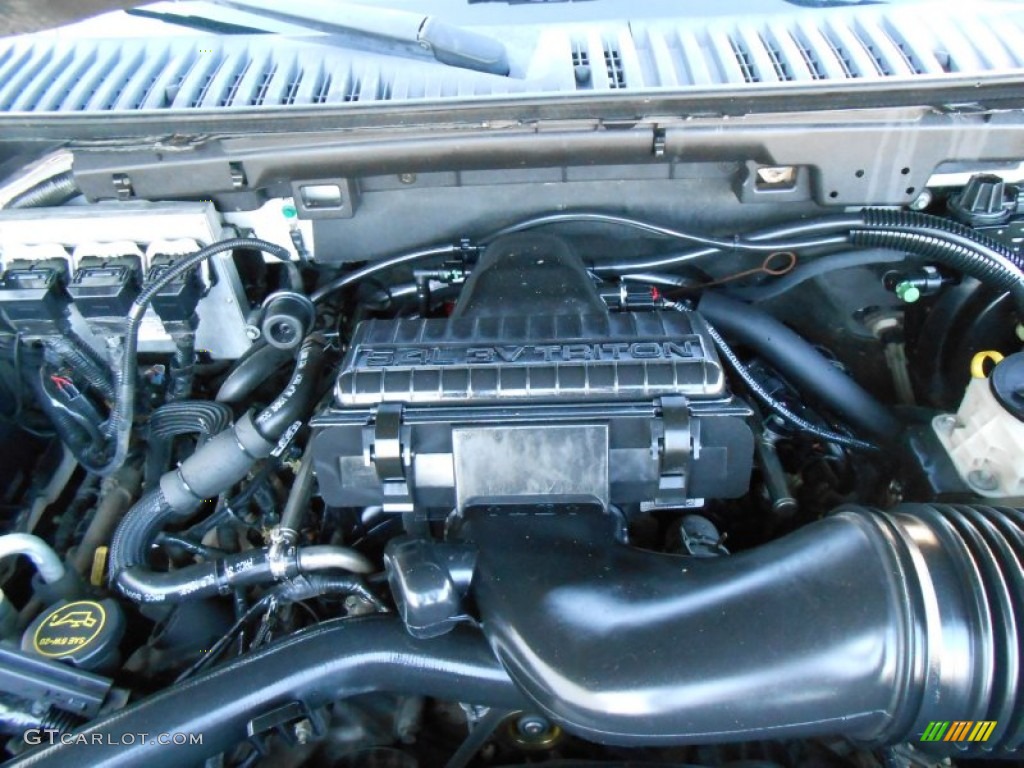2005 Ford Expedition Limited 5.4 Liter SOHC 24V VVT Triton V8 Engine Photo #78298850