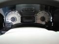 2009 Ford Expedition Stone Interior Gauges Photo