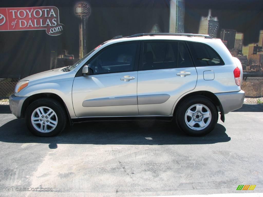 2001 RAV4  - Vintage Gold / Oak photo #1
