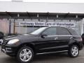 Black - ML 350 4Matic Photo No. 1