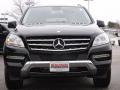 Black - ML 350 4Matic Photo No. 2