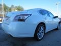 Winter Frost White - Maxima 3.5 SV Photo No. 5
