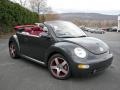 Dark Flint Metallic - New Beetle Dark Flint Edition Convertible Photo No. 3