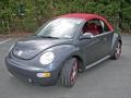 Dark Flint Metallic - New Beetle Dark Flint Edition Convertible Photo No. 24
