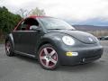 Dark Flint Metallic - New Beetle Dark Flint Edition Convertible Photo No. 28