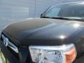 2013 Black Toyota 4Runner SR5  photo #10