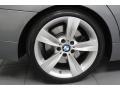 2009 BMW 3 Series 335i Sedan Wheel and Tire Photo