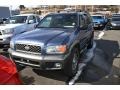Bayshore Blue - Pathfinder SE 4x4 Photo No. 4