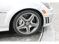 2010 Mercedes-Benz C 63 AMG Wheel and Tire Photo