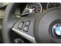 Cream Beige Controls Photo for 2010 BMW 5 Series #78317338