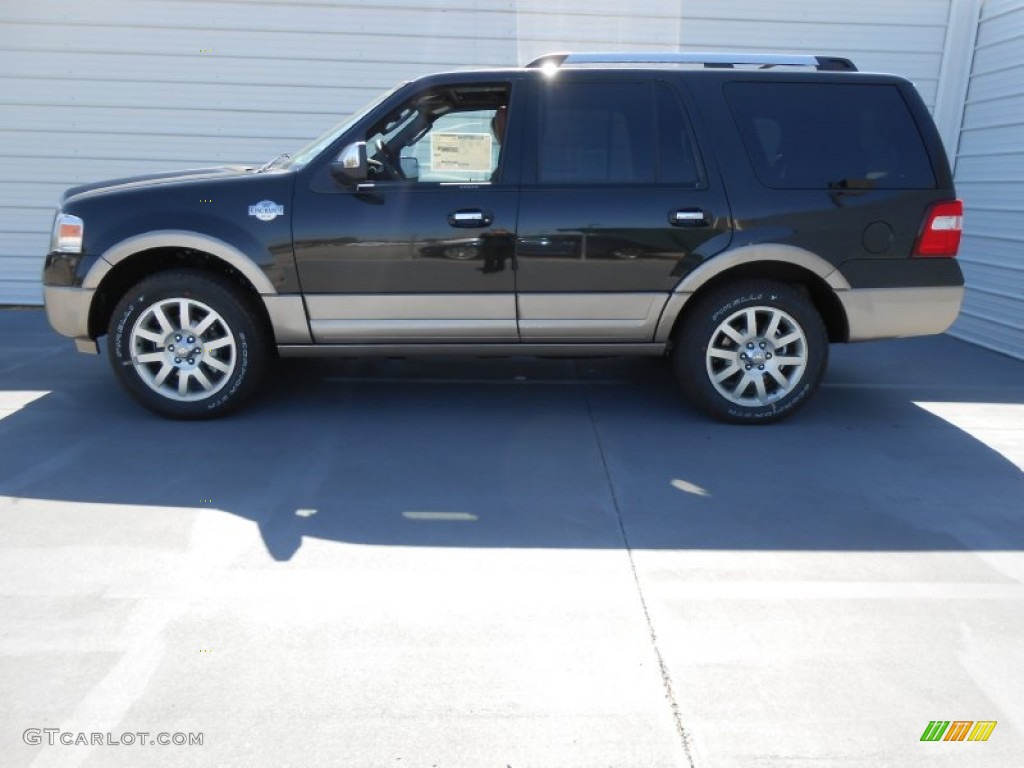 2013 Expedition King Ranch - Tuxedo Black / King Ranch Charcoal Black/Chaparral Leather photo #6