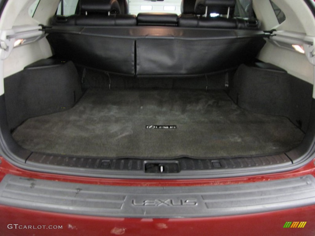 2009 Lexus RX 350 AWD Trunk Photo #78322937