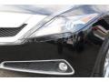 2010 Crystal Black Pearl Acura ZDX AWD Technology  photo #30