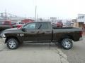 Black Gold Pearl 2013 Ram 2500 Tradesman Crew Cab 4x4 Exterior