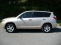 Savannah Metallic - RAV4 I4 Photo No. 1