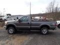 Sterling Gray Metallic - F250 Super Duty XLT Regular Cab 4x4 Photo No. 5