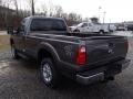 Sterling Gray Metallic - F250 Super Duty XLT Regular Cab 4x4 Photo No. 6