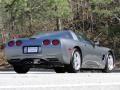 Medium Spiral Gray Metallic - Corvette Coupe Photo No. 10