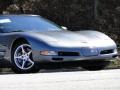 Medium Spiral Gray Metallic - Corvette Coupe Photo No. 13