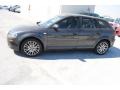 Lava Grey Pearl Effect - A3 2.0T Photo No. 4