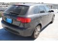 Lava Grey Pearl Effect - A3 2.0T Photo No. 7