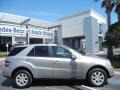 Pewter Metallic - ML 350 4Matic Photo No. 8