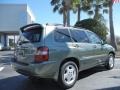2006 Oasis Green Pearl Toyota Highlander Limited  photo #7