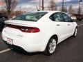Bright White - Dart Limited Photo No. 3