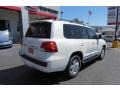 2013 Blizzard White Pearl Toyota Land Cruiser   photo #7