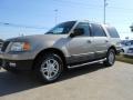 2004 Pueblo Gold Metallic Ford Expedition XLT  photo #3