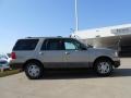 Pueblo Gold Metallic - Expedition XLT Photo No. 8