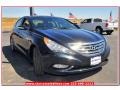 2013 Pacific Blue Pearl Hyundai Sonata Limited 2.0T  photo #9