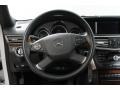 2010 Mercedes-Benz E Chestnut Brown Interior Steering Wheel Photo