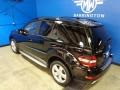 Black - ML 350 4Matic Photo No. 10