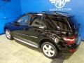 Black - ML 350 4Matic Photo No. 12