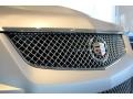 2013 Silver Frost Matte Cadillac CTS -V Coupe Silver Frost Edition  photo #9