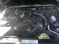 2010 Natural Green Pearl Jeep Wrangler Sport 4x4  photo #15