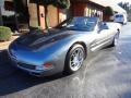 2004 Medium Spiral Gray Metallic Chevrolet Corvette Convertible #78375211