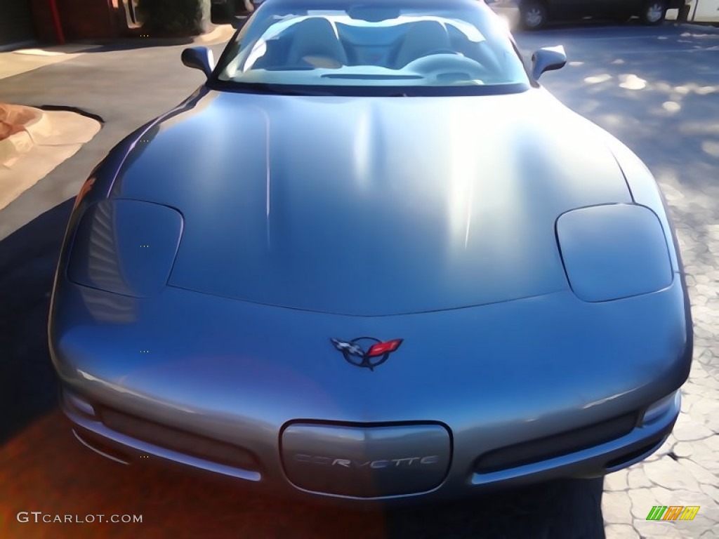 2004 Corvette Convertible - Medium Spiral Gray Metallic / Light Gray photo #6