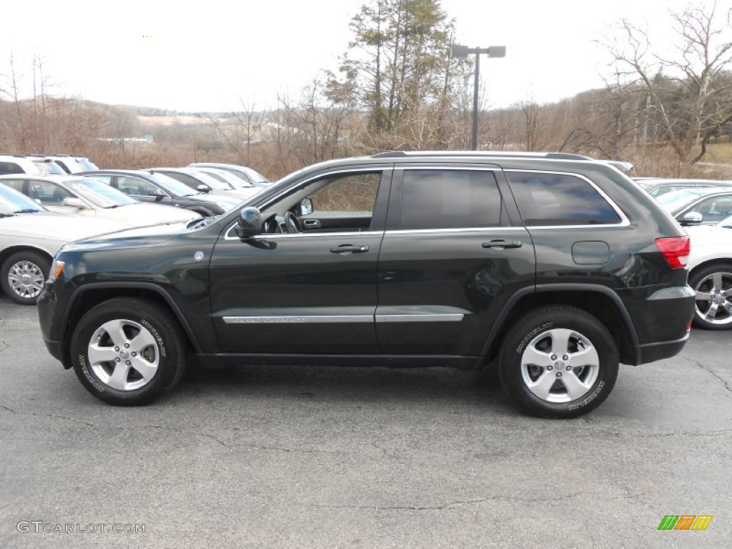 Natural Green Pearl 2011 Jeep Grand Cherokee Laredo X Package 4x4 Exterior Photo #78385898