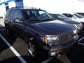 2008 Desert Brown Metallic Chevrolet TrailBlazer LT 4x4 #78375199