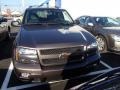 Desert Brown Metallic - TrailBlazer LT 4x4 Photo No. 2
