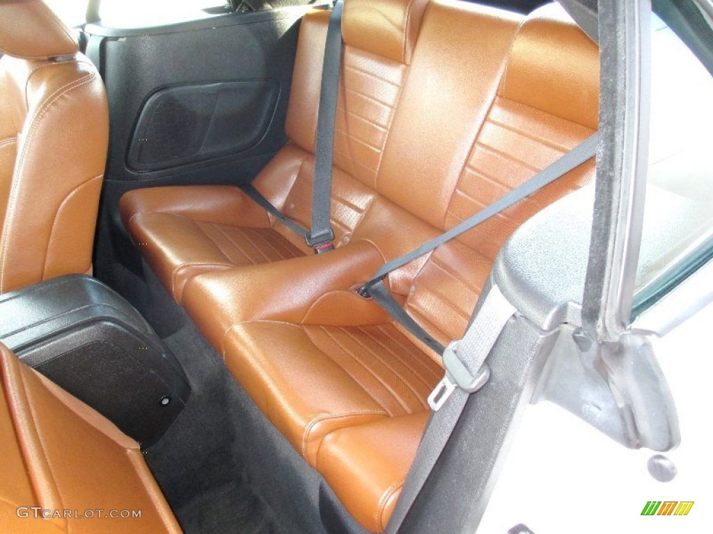 Saddle Interior 2010 Ford Mustang V6 Premium Convertible Photo #78391577